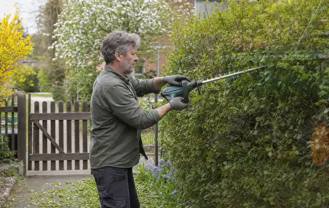 Person schneidet eine Gartenhecke mit einem motorisierten Gartengerät; Thema Rasenmäher, Schwerpunkt Gärten mit kleiner Fläche; Umsetzung.