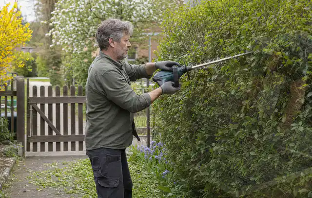 Person schneidet eine Gartenhecke mit einem motorisierten Gartengerät; Thema Rasenmäher, Schwerpunkt Leistung; Ergebnis.