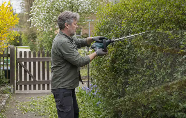 Person schneidet eine Gartenhecke mit einem motorisierten Gartengerät; Thema Rasenmäher, Schwerpunkt Reparatur; Praxisalltag.