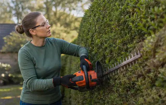 Person schneidet eine dichte Gartenhecke mit Schutzbrille und sicherem Stand; Thema Rasenmäher, Schwerpunkt Systemvergleich; Ausgangslage.