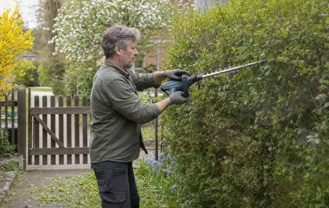 Person schneidet eine Gartenhecke mit einem motorisierten Gartengerät; Thema Rasenmäher, Schwerpunkt Systemvergleich; Umsetzung.