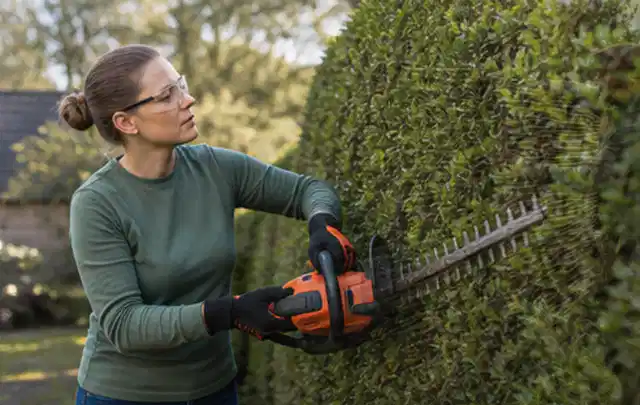 Person schneidet eine dichte Gartenhecke mit Schutzbrille und sicherem Stand; Thema Rasenmäher, Schwerpunkt Testkriterien; Ausgangslage.
