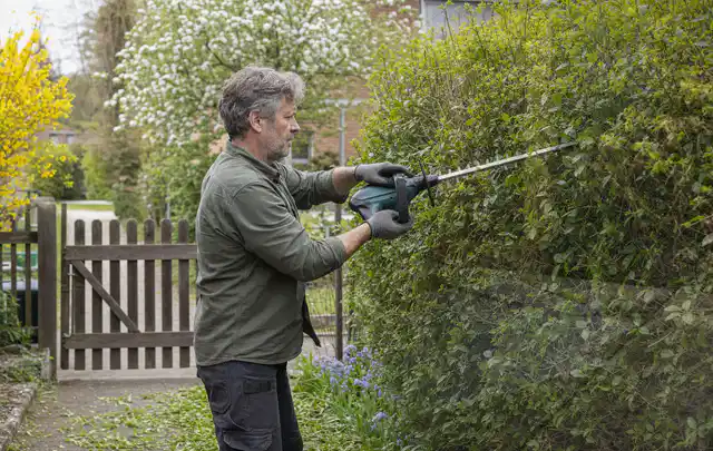 Person schneidet eine Gartenhecke mit einem motorisierten Gartengerät; Thema Rasenmäher, Schwerpunkt Testkriterien; Umsetzung.
