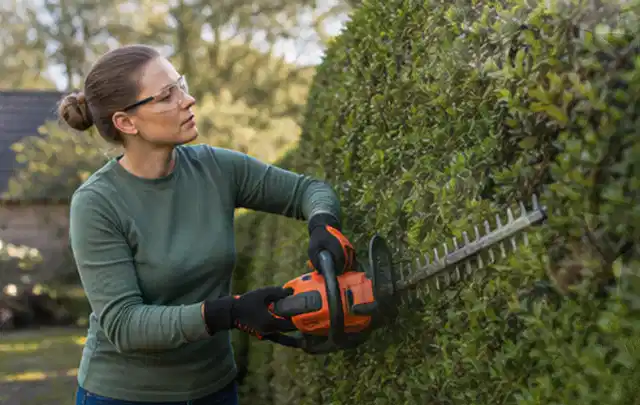 Person schneidet eine dichte Gartenhecke mit Schutzbrille und sicherem Stand; Thema Rasenmäher, Schwerpunkt Vergleich; Ergebnis.