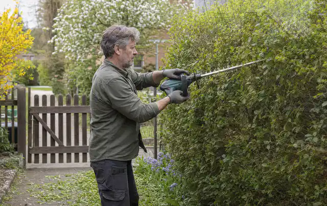 Person schneidet eine Gartenhecke mit einem motorisierten Gartengerät; Thema Rasenmäher, Schwerpunkt Wartung; Praxisalltag.