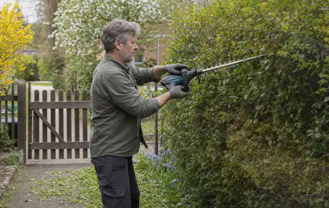 Person schneidet eine Gartenhecke mit einem motorisierten Gartengerät; Thema Rasenmäher, Schwerpunkt Winterlager; Ausgangslage.