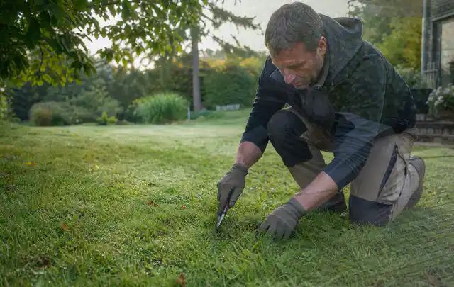 Person prüft den Boden einer gepflegten Rasenfläche im Garten; Thema Rasenmoos, Schwerpunkt Bodenpflege; Praxisalltag.