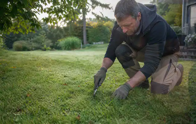 Person prüft den Boden einer gepflegten Rasenfläche im Garten; Thema Rasenmoos, Schwerpunkt Checkliste; Ergebnis.