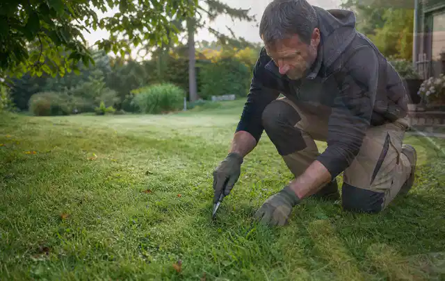 Person prüft den Boden einer gepflegten Rasenfläche im Garten; Thema Rasenmoos, Schwerpunkt Einsteigerwissen; Umsetzung.