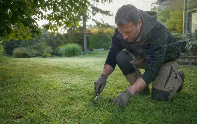 Person prüft den Boden einer gepflegten Rasenfläche im Garten; Thema Rasenmoos, Schwerpunkt Fehlerhilfe; Ergebnis.