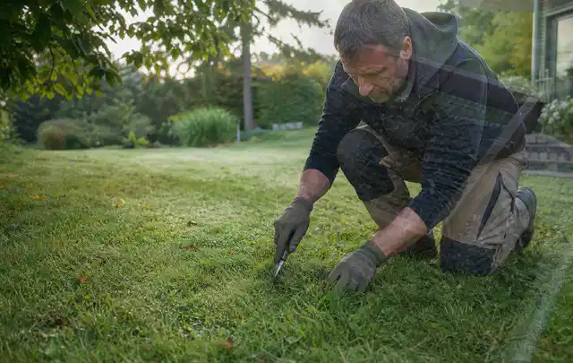 Person prüft den Boden einer gepflegten Rasenfläche im Garten; Thema Rasenmoos, Schwerpunkt Herbstpflege; Ergebnis.