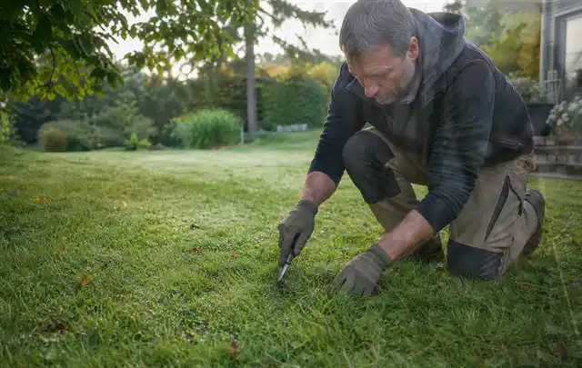 Person prüft den Boden einer gepflegten Rasenfläche im Garten; Thema Rasenmoos, Schwerpunkt Rasen; Ergebnis.