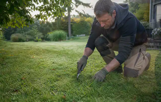 Person prüft den Boden einer gepflegten Rasenfläche im Garten; Thema Rasenmoos, Schwerpunkt Vertikutieren; Umsetzung.