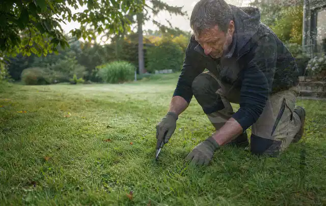 Person prüft den Boden einer gepflegten Rasenfläche im Garten; Thema Rasensamen, Schwerpunkt Checkliste; Praxisalltag.