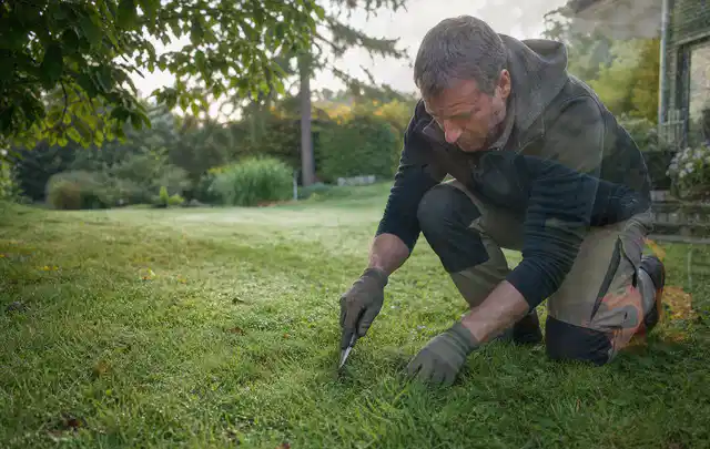 Person prüft den Boden einer gepflegten Rasenfläche im Garten; Thema Rasensamen, Schwerpunkt Fehlerhilfe; Ausgangslage.