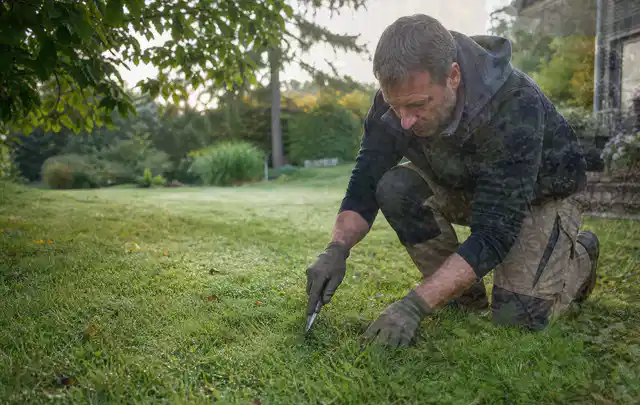 Person prüft den Boden einer gepflegten Rasenfläche im Garten; Thema Rasensamen, Schwerpunkt Frühjahr; Ergebnis.