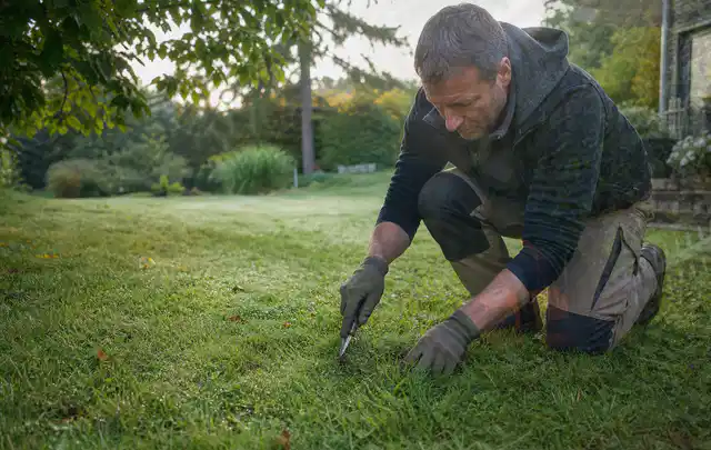 Person prüft den Boden einer gepflegten Rasenfläche im Garten; Thema Rasensamen, Schwerpunkt Herbstpflege; Ergebnis.