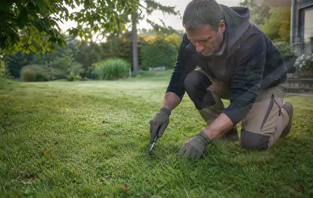 Person prüft den Boden einer gepflegten Rasenfläche im Garten; Thema Rasensamen, Schwerpunkt Nachsaat; Ausgangslage.