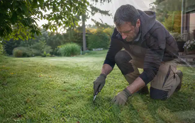 Person prüft den Boden einer gepflegten Rasenfläche im Garten; Thema Rasensamen, Schwerpunkt Rasen; Umsetzung.
