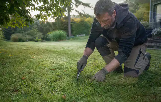 Person prüft den Boden einer gepflegten Rasenfläche im Garten; Thema Rasensamen, Schwerpunkt Rasenpflege; Ausgangslage.