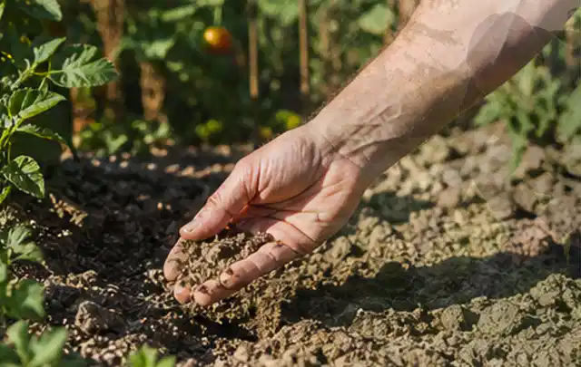 Hand prüft trockene krümelige Gartenerde während einer warmen Sommerphase; Thema Rasensprenger, Schwerpunkt Checkliste; Ergebnis.