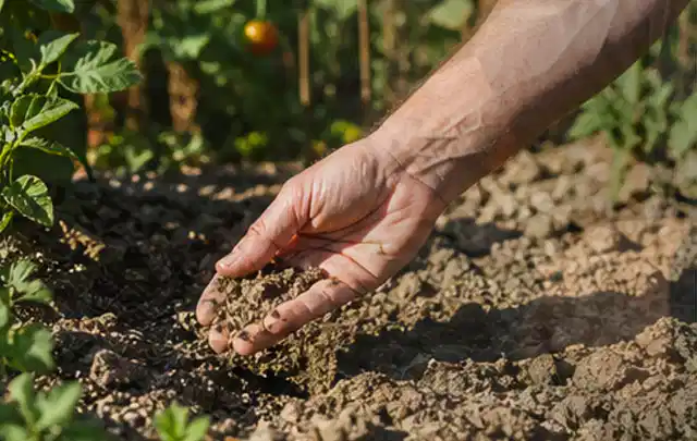 Hand prüft trockene krümelige Gartenerde während einer warmen Sommerphase; Thema Rasensprenger, Schwerpunkt Kosten; Praxisalltag.
