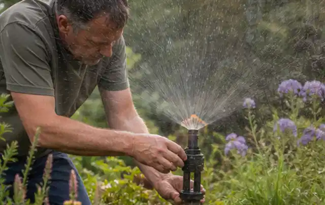 Person richtet einen laufenden Gartensprenger zwischen Stauden präzise aus; Thema Rasensprenger, Schwerpunkt Reinigung; Ergebnis.