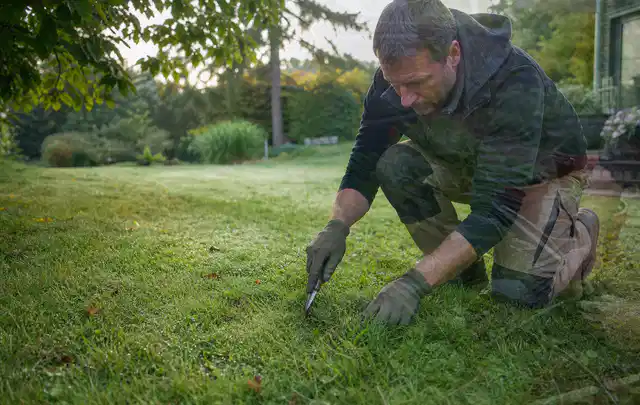 Person prüft den Boden einer gepflegten Rasenfläche im Garten; Thema Rasenunkraut, Schwerpunkt Bodenpflege; Praxisalltag.