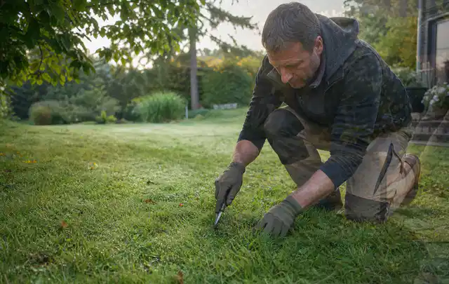 Person prüft den Boden einer gepflegten Rasenfläche im Garten; Thema Rasenunkraut, Schwerpunkt Herbstpflege; Umsetzung.