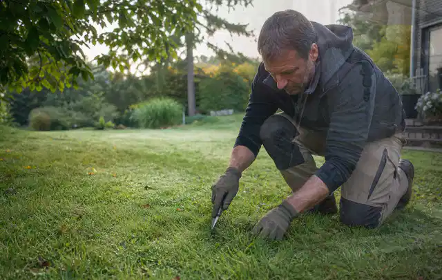 Person prüft den Boden einer gepflegten Rasenfläche im Garten; Thema Rasenunkraut, Schwerpunkt Kosten; Ausgangslage.