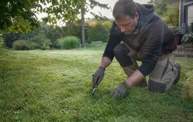 Person prüft den Boden einer gepflegten Rasenfläche im Garten; Thema Rasenunkraut, Schwerpunkt Rasenpflege; Ergebnis.