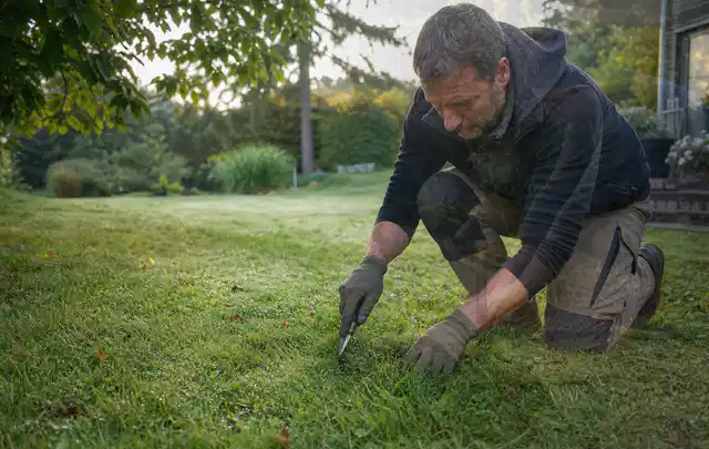 Person prüft den Boden einer gepflegten Rasenfläche im Garten; Thema Rasenunkraut, Schwerpunkt Sommerpflege; Umsetzung.