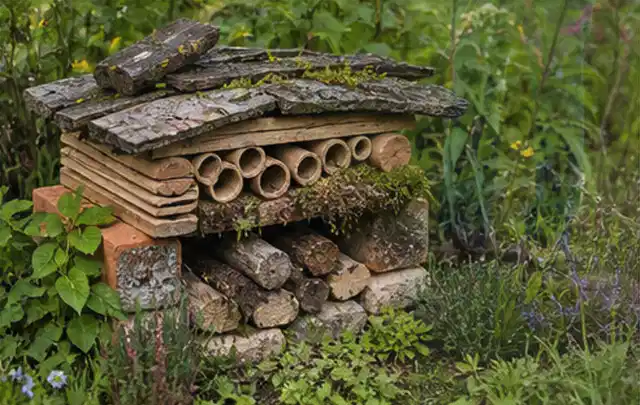 Naturnaher Unterschlupf aus Holz Rinde und Pflanzenstängeln im Garten; Thema Raupen, Schwerpunkt Gewächshaus; Kontrolle.