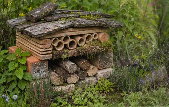 Naturnaher Unterschlupf aus Holz Rinde und Pflanzenstängeln im Garten; Thema Raupen, Schwerpunkt Soforthilfe; Ergebnis.