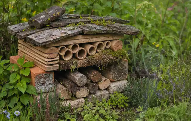 Naturnaher Unterschlupf aus Holz Rinde und Pflanzenstängeln im Garten; Thema Raupen, Schwerpunkt Ursachen; Ausgangslage.