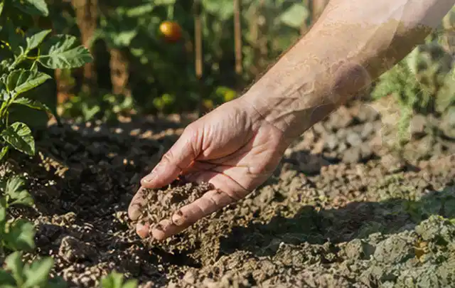 Hand prüft trockene krümelige Gartenerde während einer warmen Sommerphase; Thema Regentonnen, Schwerpunkt Systemvergleich; Ausgangslage.