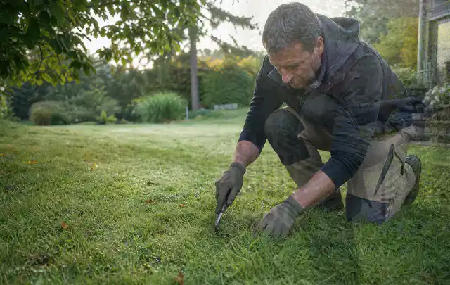 Person prüft den Boden einer gepflegten Rasenfläche im Garten; Thema Rollrasen, Schwerpunkt Bewässerung; Ergebnis.