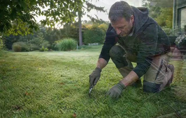 Person prüft den Boden einer gepflegten Rasenfläche im Garten; Thema Rollrasen, Schwerpunkt Checkliste; Umsetzung.