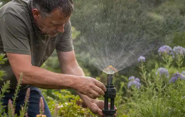 Person richtet einen laufenden Gartensprenger zwischen Stauden präzise aus; Thema Rollrasen, Schwerpunkt Düngung; Ergebnis.