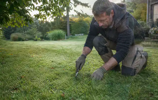 Person prüft den Boden einer gepflegten Rasenfläche im Garten; Thema Rollrasen, Schwerpunkt Düngung; Praxisalltag.