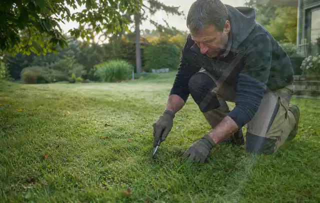 Person prüft den Boden einer gepflegten Rasenfläche im Garten; Thema Rollrasen, Schwerpunkt Einsteigerwissen; Ergebnis.