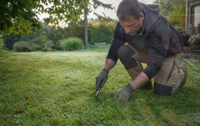 Person prüft den Boden einer gepflegten Rasenfläche im Garten; Thema Rollrasen, Schwerpunkt Frühjahr; Praxisalltag.