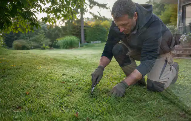 Person prüft den Boden einer gepflegten Rasenfläche im Garten; Thema Rollrasen, Schwerpunkt Herbstpflege; Ausgangslage.