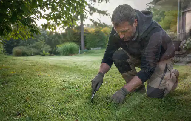 Person prüft den Boden einer gepflegten Rasenfläche im Garten; Thema Rollrasen, Schwerpunkt Hitzeschutz; Kontrolle.