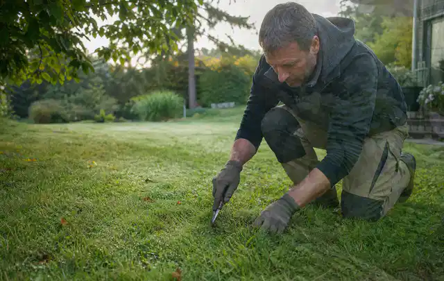 Person prüft den Boden einer gepflegten Rasenfläche im Garten; Thema Rollrasen, Schwerpunkt Kosten; Praxisalltag.