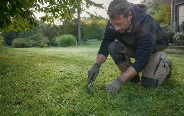Person prüft den Boden einer gepflegten Rasenfläche im Garten; Thema Rollrasen, Schwerpunkt Moos; Praxisalltag.
