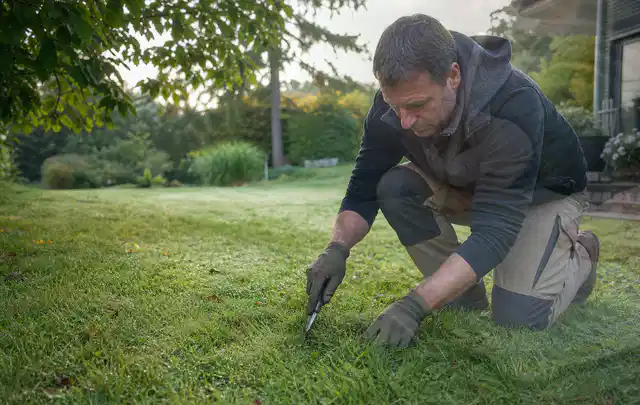 Person prüft den Boden einer gepflegten Rasenfläche im Garten; Thema Rollrasen, Schwerpunkt Nachsaat; Ergebnis.