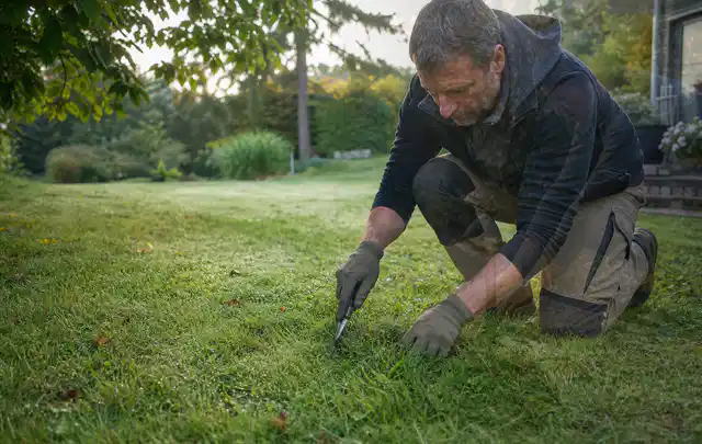 Person prüft den Boden einer gepflegten Rasenfläche im Garten; Thema Rollrasen, Schwerpunkt Rasenschnitt; Praxisalltag.