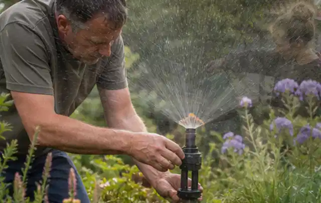 Person richtet einen laufenden Gartensprenger zwischen Stauden präzise aus; Thema Rollrasen, Schwerpunkt Unkraut; Kontrolle.