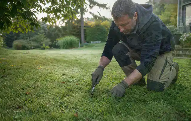 Person prüft den Boden einer gepflegten Rasenfläche im Garten; Thema Rollrasen, Schwerpunkt Unkraut; Praxisalltag.